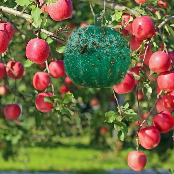 🔥Hanging Environmental Fruit Fly Traps Sticky Traps - BUY 1 GET 1 FREE