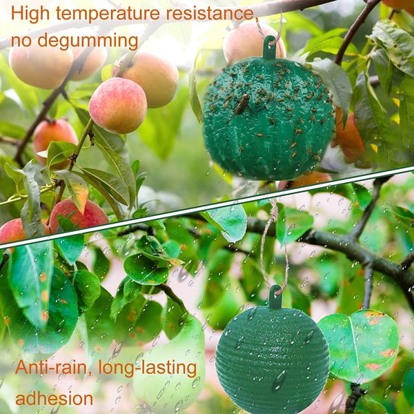 🔥Hanging Environmental Fruit Fly Traps Sticky Traps - BUY 1 GET 1 FREE