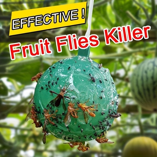 🔥Hanging Environmental Fruit Fly Traps Sticky Traps - BUY 1 GET 1 FREE