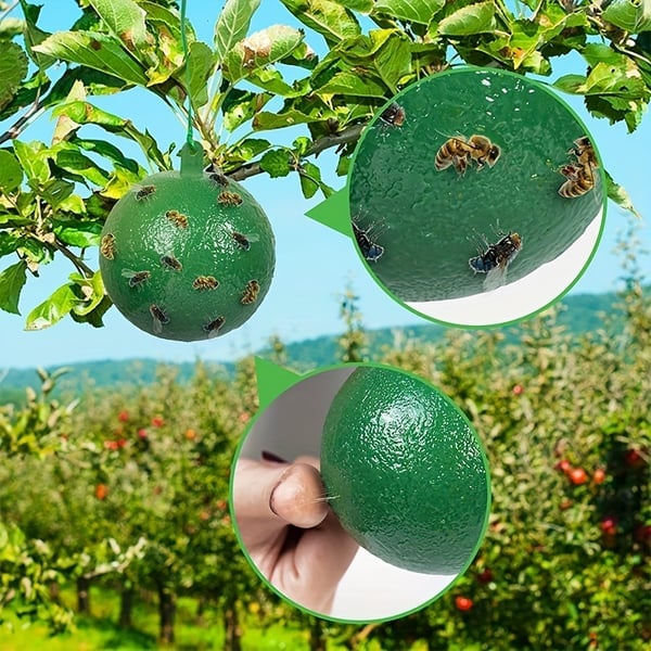🔥Hanging Environmental Fruit Fly Traps Sticky Traps - BUY 1 GET 1 FREE